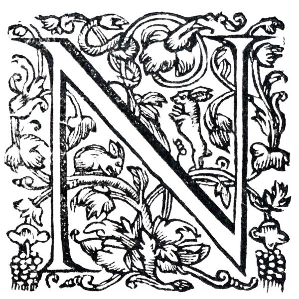 Letra capitular decorativa