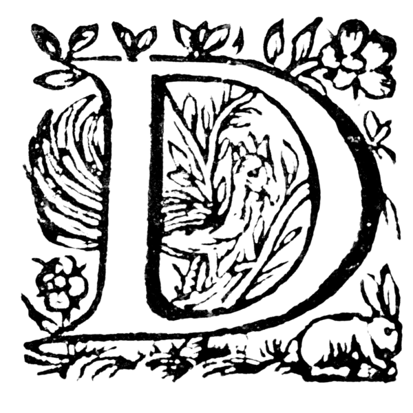Letra capitular decorativa