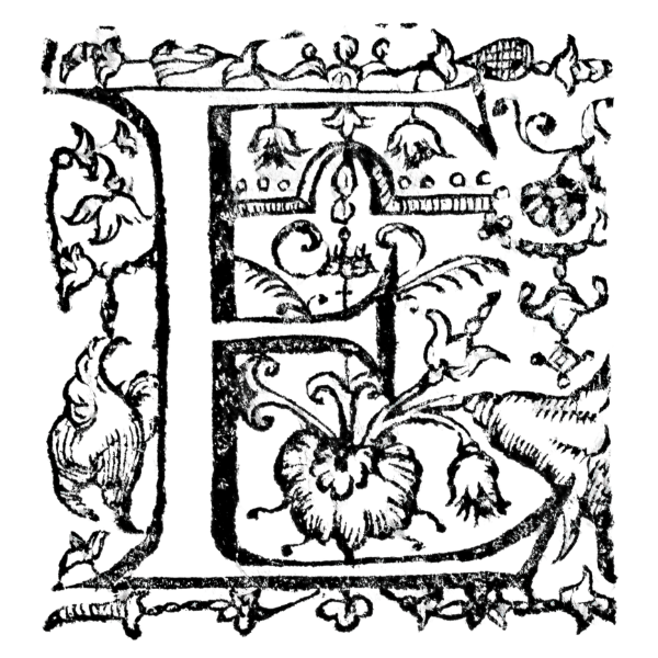 Letra capitular decorativa