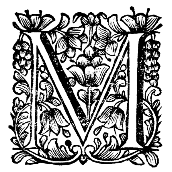 Letra capitular decorativa