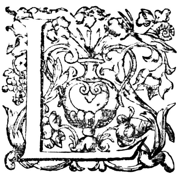 Letra capitular decorativa